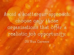 Sli Nua Careers - New year-new job